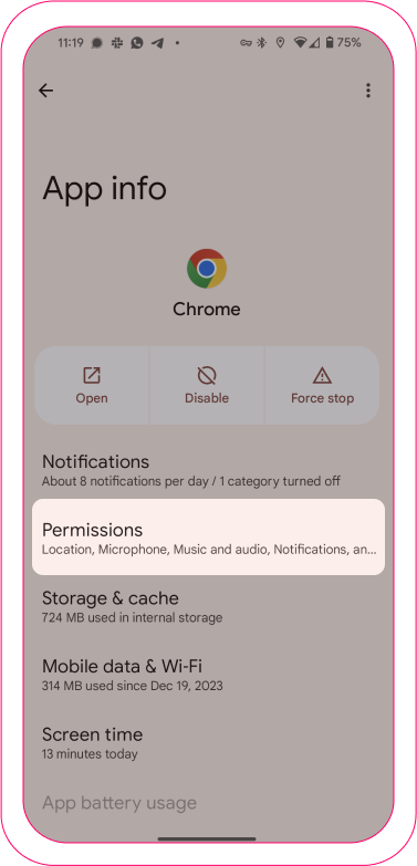 en_camera access_android-1.png