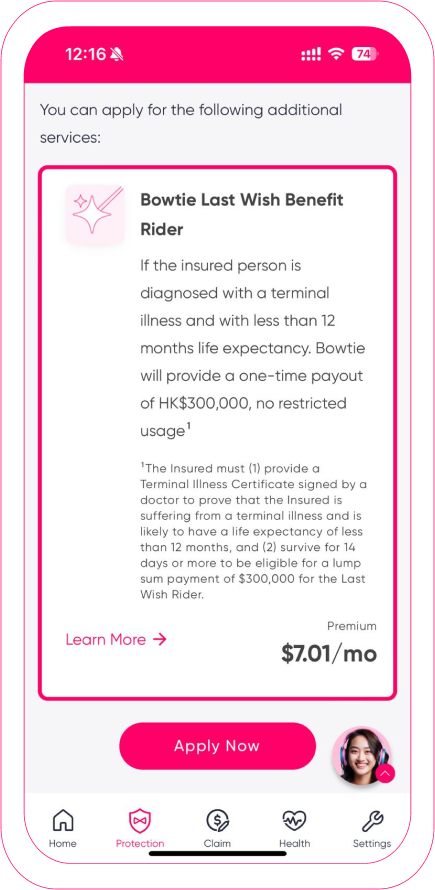 (En) Last Wish FAQ screen cap 2.png